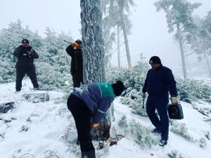 Ormanda Bakım Ve Üretimler Kar Kış Devam Ediyor