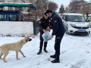 Polis Hem Devriye Gezdi Hem De Sokak Hayvanlarını Beslediler
