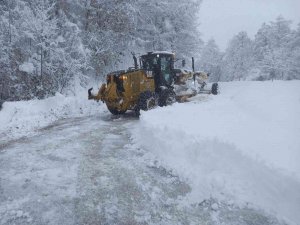 ’İ̇nsanı Yaşat Ki, Devlet Yaşasın’