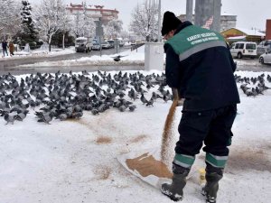Karatay’da 24 Saat Kar Mesaisi