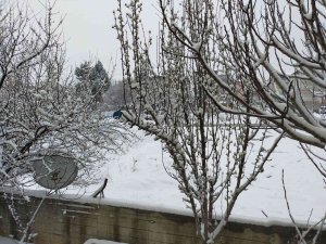 Meteorolojiden Denizlili Çiftçilere Zirai Don Uyarısı