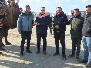 Balıkesir’de Geleneksel Deve Güreşlerini 10 Bin Kişi İzledi