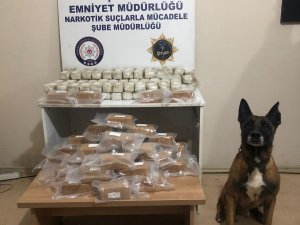 Tırın Zulasındaki 52 Kilo 639 Gram Eroini ‘Stark’ Buldu