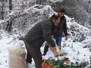 Yalova’da Yaban Ve Av Hayvanlarına Yem Bırakıldı