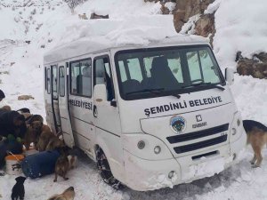 Şemdinli’de Can Dostlar Unutulmadı
