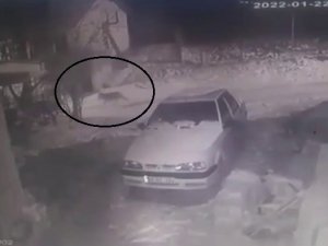 Aç Kalınca Köye İnen Kurt Kameraya Yansıdı