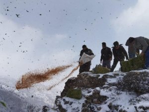 Adana’da Yaban Hayvanlarına Yem Desteği