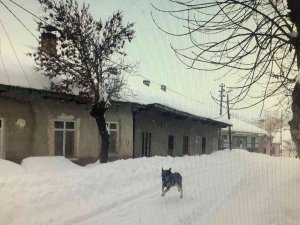 Tufanbeyli Sibirya Gibi, İşçi Servisi Tipide Yolda Kaldı