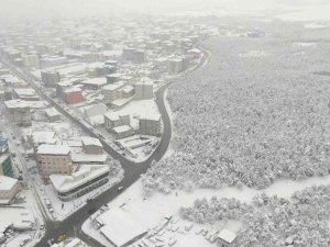 Ataşehir Ormanı’nda Kartpostallık Görüntüler