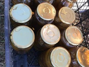 Iğdır Patlıcan Reçeli Coğrafi İşaret Alarak Tescillendi