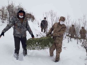 Jandarma Ekipleri Sokak Ve Yaban Hayvanlarını Unutmadı