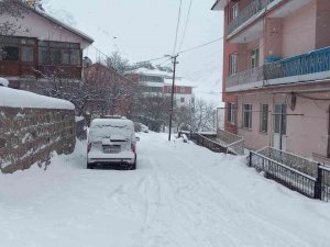 Tunceli’de 287 Köy Yolu Ulaşıma Kapalı