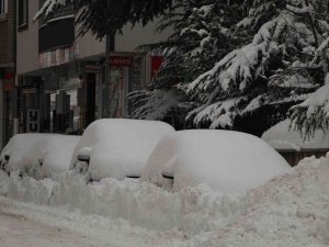 Bingöl’de 281 Köy Yolu Ulaşıma Kapandı