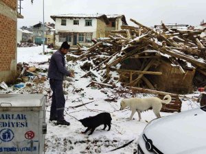Sokak Hayvanları İçin Doğaya Yem Bırakıldı