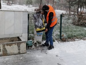 Gediz’de Sokak Hayvanları Unutulmadı