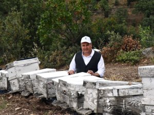 Yunusemre Bal Üreticisini Bu Yıl Da Destekleyecek