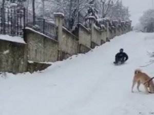 Kayarken 4 Metre Havalanarak Ağaca Böyle Çarptı