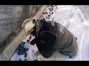 Polis Ekipleri Yaban Hayvanlarını Unutmadı