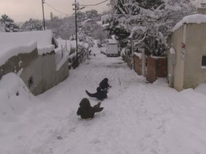 İ̇stanbul’a Yağan Karın Tadını Çocuklar Çıkardı