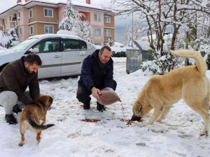 Tutuk, Kar Sonrası Saha Çalışmalarını İnceledi