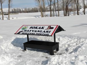 Güroymak Belediyesi Sokak Hayvanlarına Sahip Çıktı