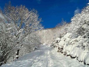 Kapıdağ Beyaza Büründü