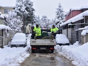 Tuzla Belediyesi Kar Temizleme Çalışmalarını Aralıksız Sürdürüyor