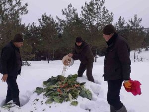 Yaban Hayvanları İçin Doğaya 350 Kilogram Yem Bırakıldı