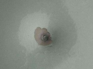 Son Dakikada Gelen Galatasaray Galibiyeti Sonrası Atılan Mermi Az Daha Ölümüne Neden Olacaktı