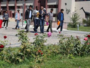 Bayburt Üniversitesi, ‘En Yeşil’ Üniversiteler Arasında Yer Aldı
