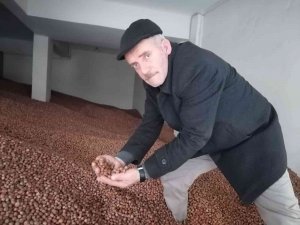 Serbest Piyasada Fındık Fiyatı 35 Lira