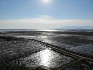 Sular Altında Kalan Tarım Arazileri Havadan Görüntülendi