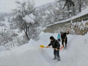 Hayat Dondu, Çalışanlar Yürüyerek İşe Gitti