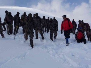 Çığ Bölgesindeki Canlar Polise Emanet