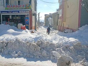 Dicle’de Kar Yağışı Hayatı Olumsuz Etkiledi