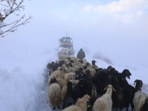 Beydağı’nı Aşan Battalgazi Belediyesi Ekipleri, Üretici Ve Hayvanlarını Kardan Kurtardı