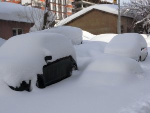 Bitlis’te Kapanan 282 Köy Yolundan 98’i Açıldı
