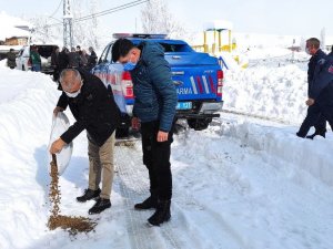 Kaymakam Ve Belediye Başkanı Sokak Hayvanları İçin Doğaya Yem Bıraktı