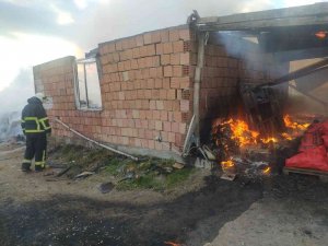 Kırklareli’nde Ağıl Yangını: 10 Küçükbaş Hayvan Telef Oldu