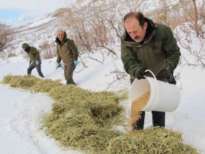 Vali Çırav Dağı’nda Yaban Hayvanları İçin Doğaya Yem Bıraktı