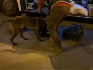 "Brego" Uyuşturucuya Geçit Vermedi