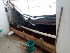 Kara Dayanamayan Çiftlik Çatısı Çöktü: 18 Bine Yakın Tavuk Telef Oldu