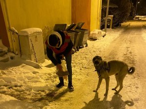 Kale’nin Genç Alperenleri Sokak Hayvanlarını Unutmadı