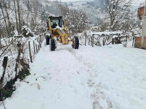 Fatsa’da Karla Mücadele Sürüyor