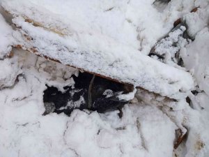 Salıpazarı’nda Ahır Çökmesi Sonucu Hayvanlar Telef Oldu