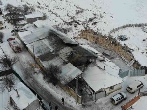 80 Hayvanın Telef Olduğu Ağıl Gün Işığında Görüntülendi