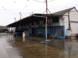 Hamsi Bu Kez de Kara Takıldı