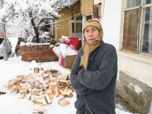 Çorum’da Odunu Biten Yaşlı Kadının İmdadına Zabıta Yetişti