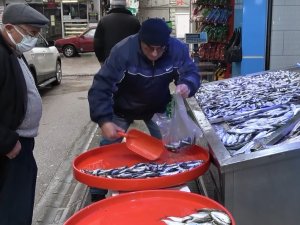 Hamsi Geri Geldi, Balıkçılar Neşelendi