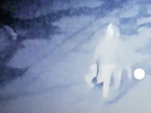 Avcılar’da Otomobillere Dadanan Hırsız Kamerada